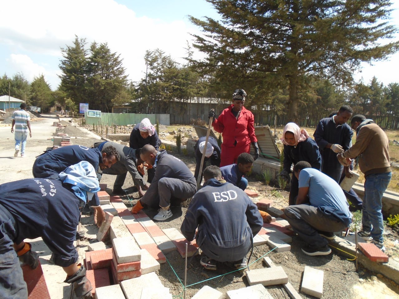 የደብረ ብርሃን ፖሊ ቴክኒክ ኮሌጅ የቴራዞን ማምረቻ ቴክኖሎጁ በኮሌጁ መምህራን ተሰርቶ ቴራዞን በማምረት በቅጥር ግቢዉ ዉስጥ እያነጠፈ ይገኛል